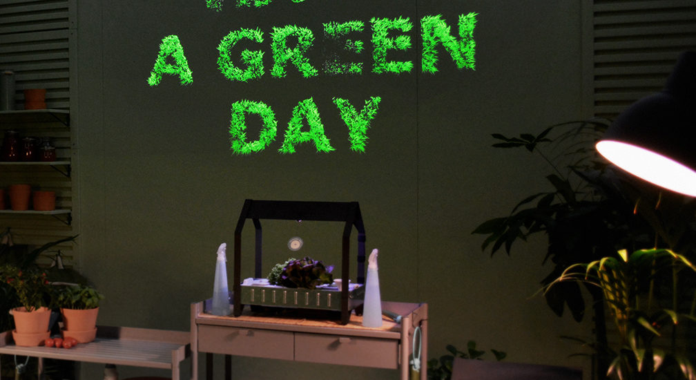 green-day-room